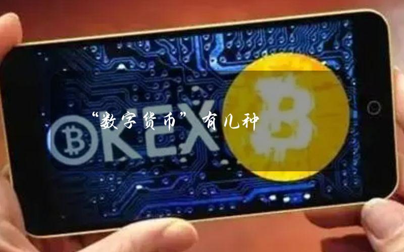 “数字货币”有几种？