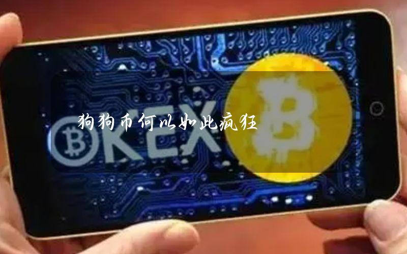 狗狗币何以如此疯狂