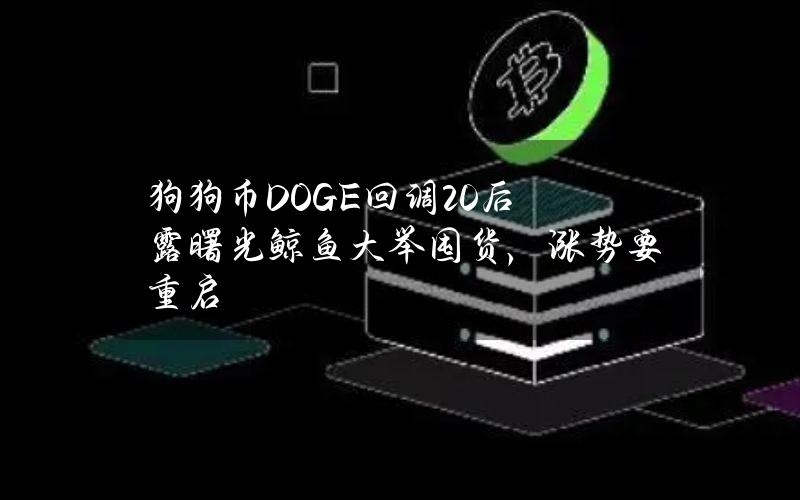 狗狗币（DOGE）回调 20% 后露曙光鲸鱼大举囤货，涨势要重启？