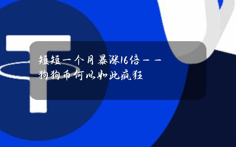 短短一个月暴涨16倍——狗狗币何以如此疯狂