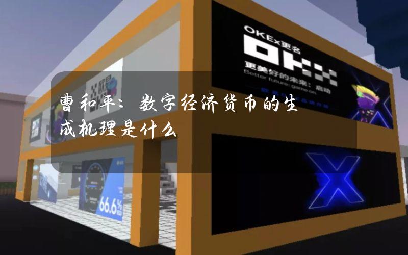 曹和平：数字经济货币的生成机理是什么？