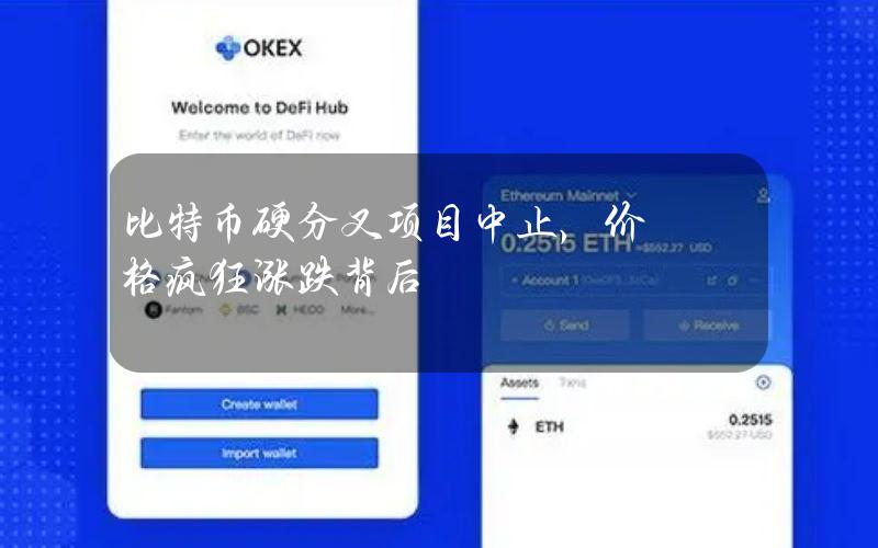 比特币硬分叉项目中止，价格疯狂涨跌背后